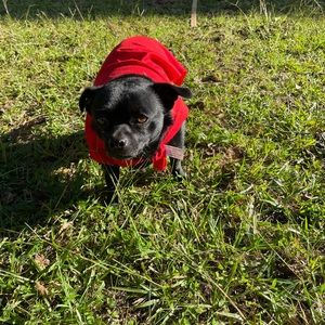 Meet your Posher, Maria catalina